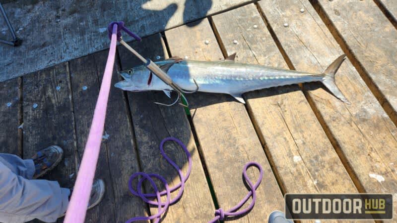 Fishing the Panama City Beach County Pier in October - Part 1