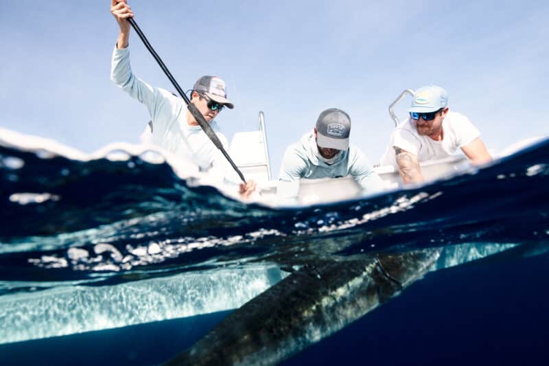 Billfish Conservation through Community with Costa’s Marlin Fly Project