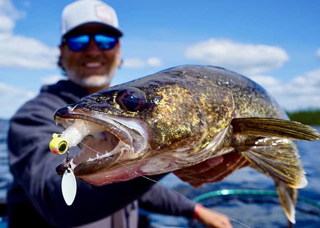 The Walleye Catching Deep-Vee Spin NEW from Northland