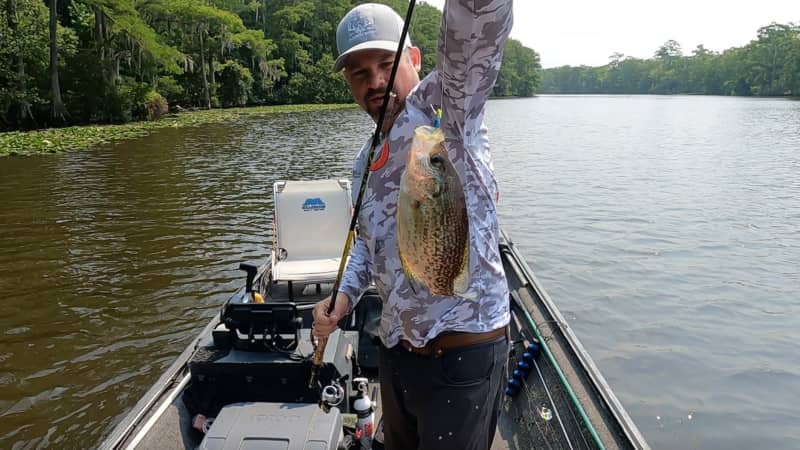Southern Crappie Making Their Way to Deeper Water