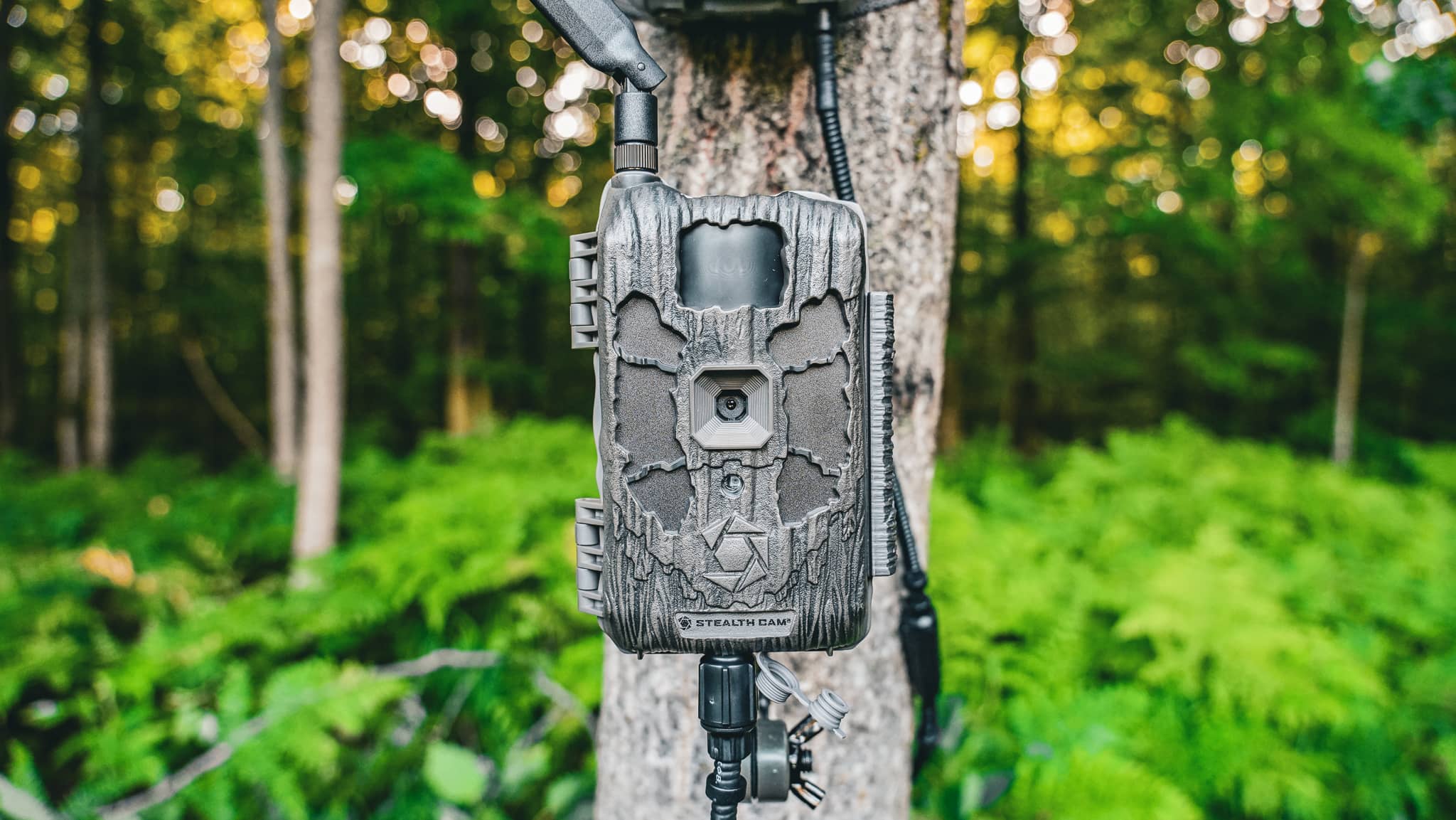 SD Card Size Stealth Cam Deceptor Max 40MP 2/ct Cellular Trail