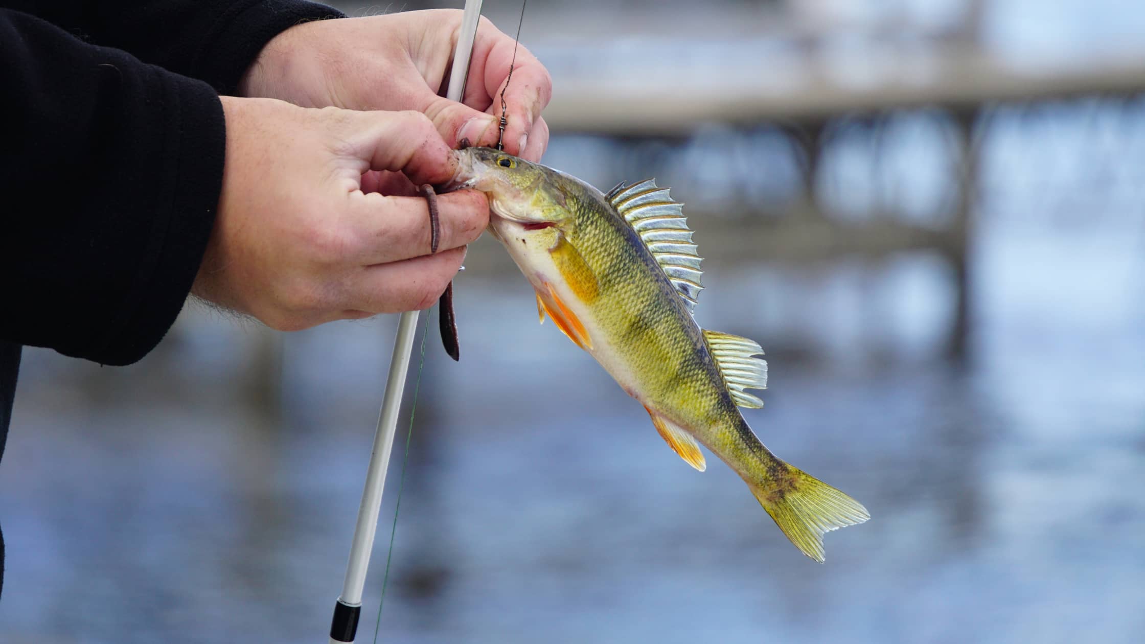 Como as condições climáticas afetam sua escolha de equipamento de pesca na Austrália