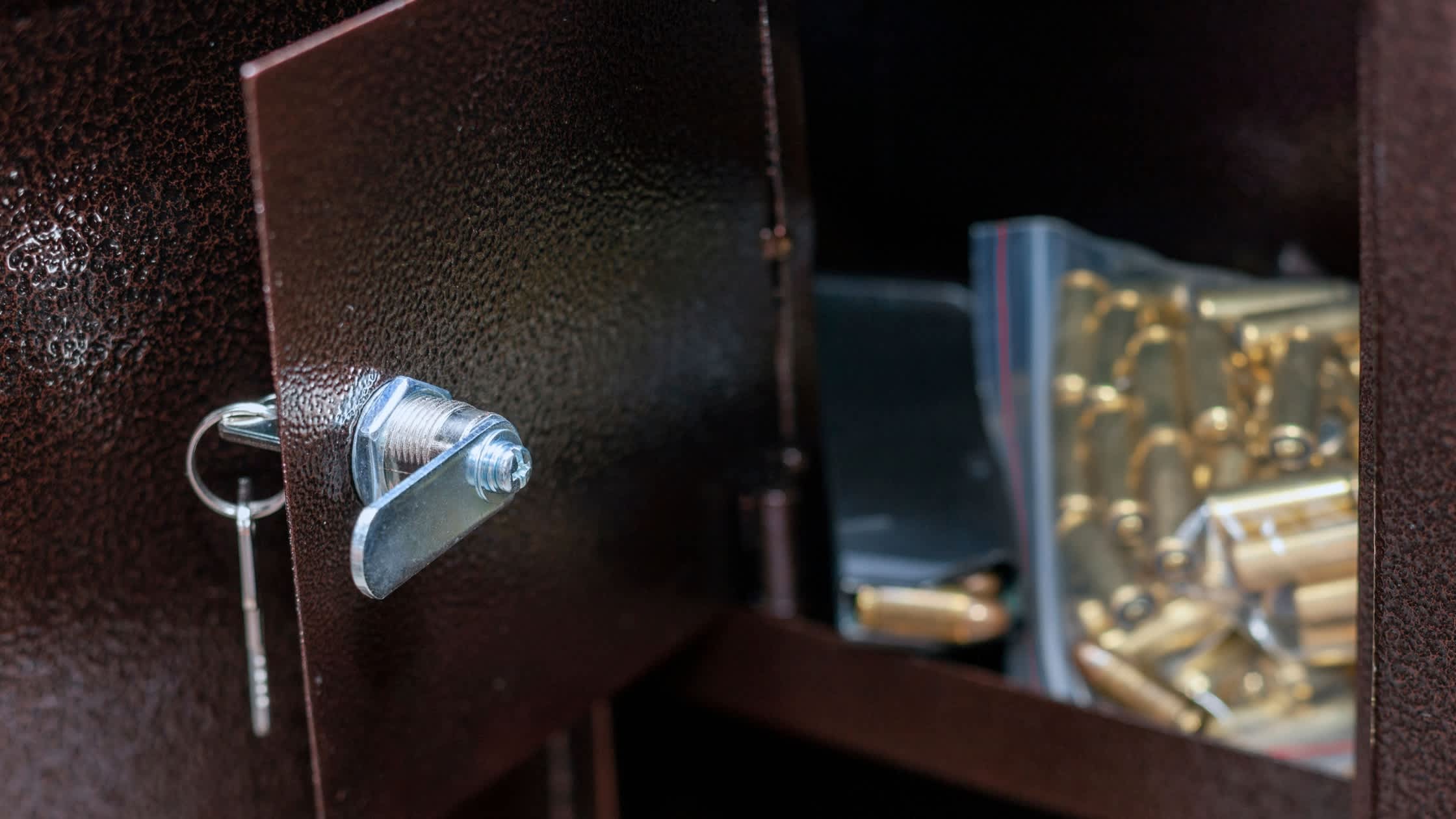 Essential Features to Look for in a Gun Safe
