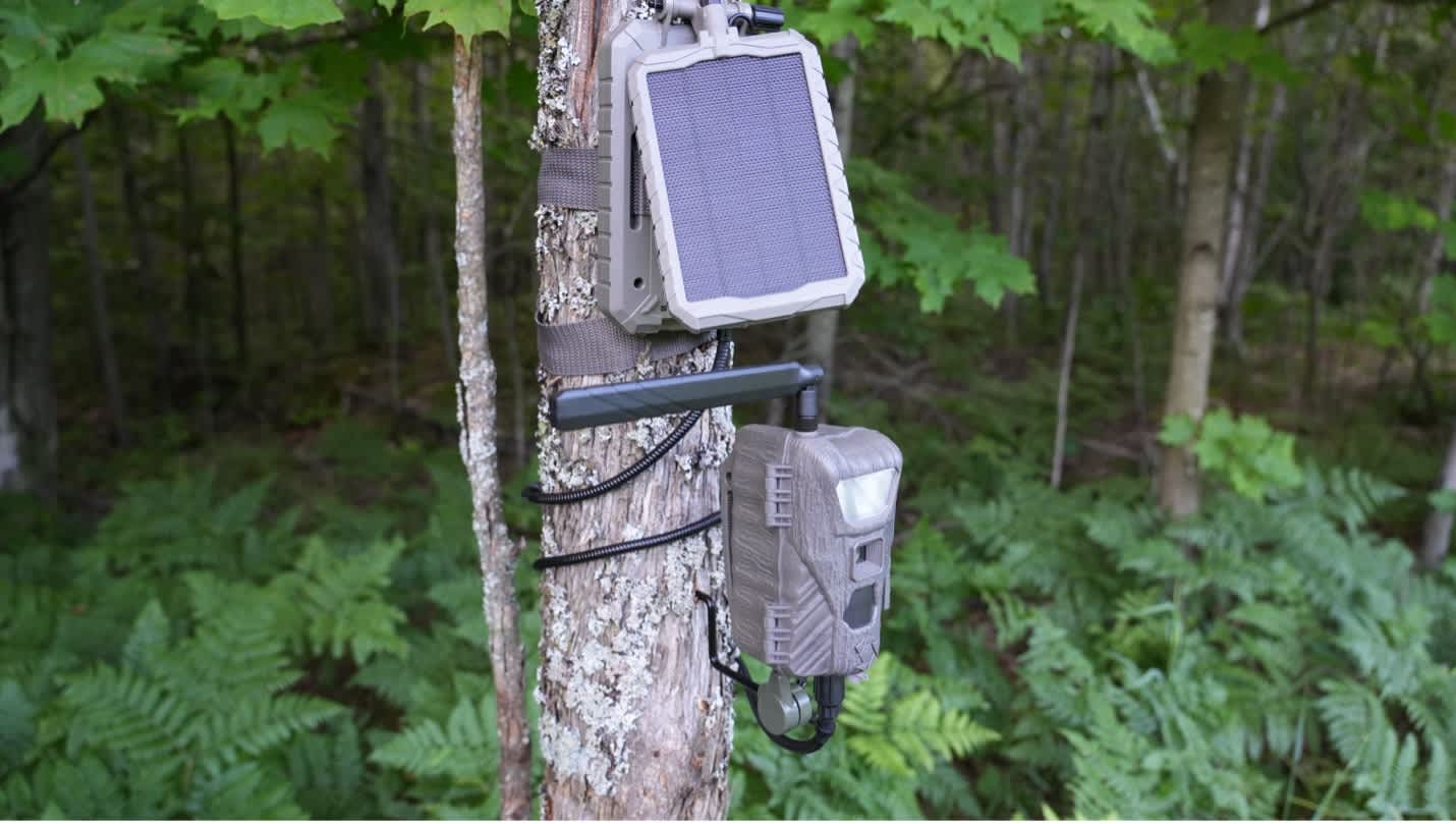 The Stealth Cam Flash back Cellular Trail Camera –High-Quality Nighttime Color Images and a White Xenon Flash That Doesn’t Spook Animals