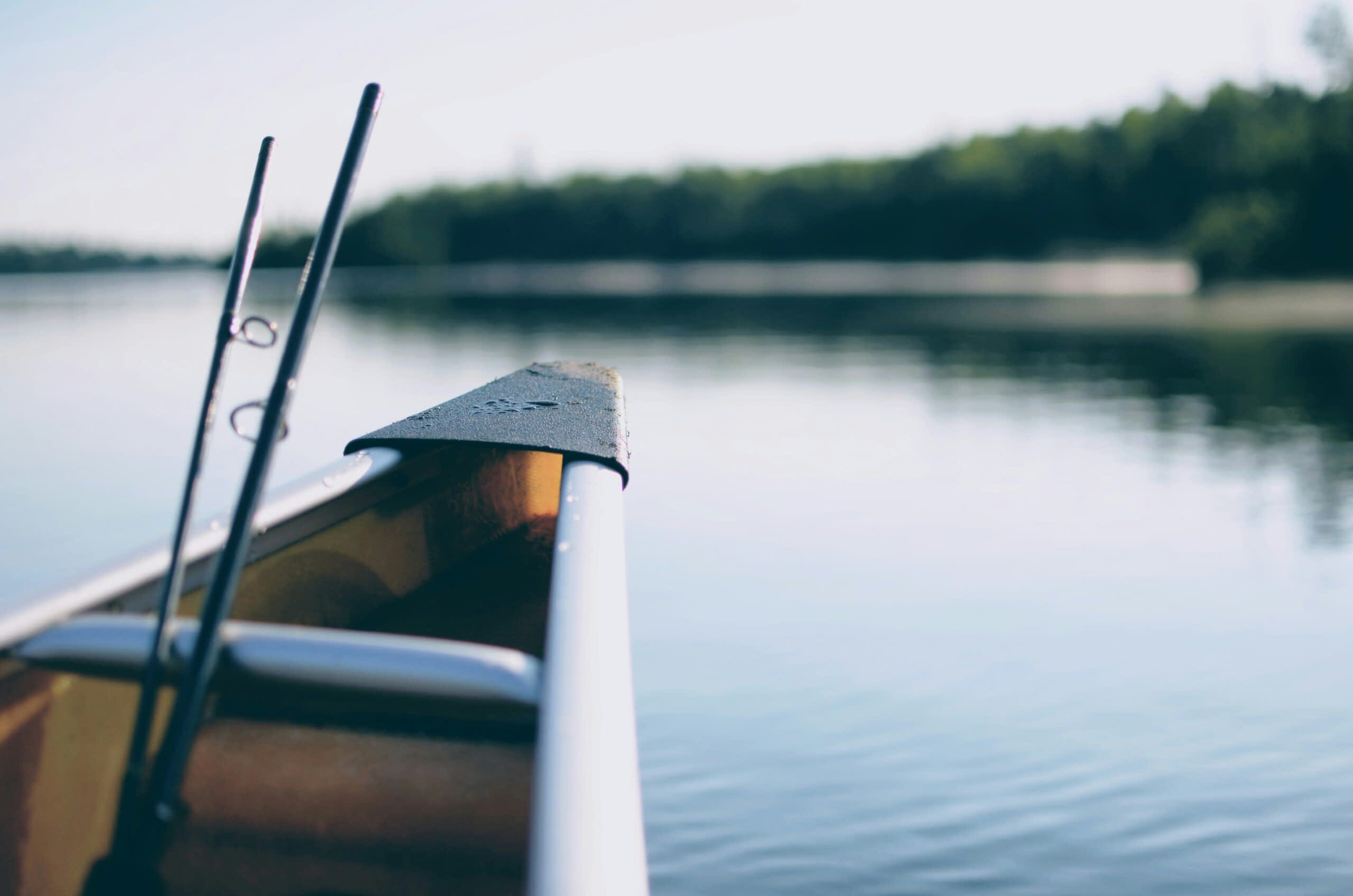Why Fishing is the Perfect Stress Buster for Students