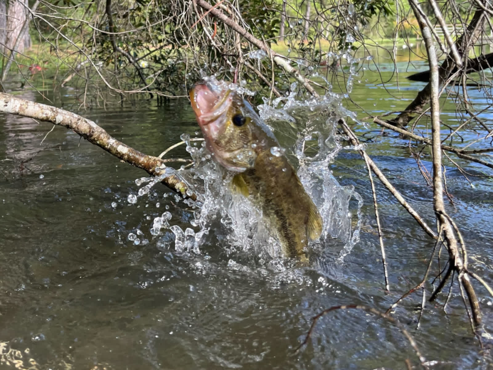 Bank Fishing Benefits to Fishing During a Lake Turnover