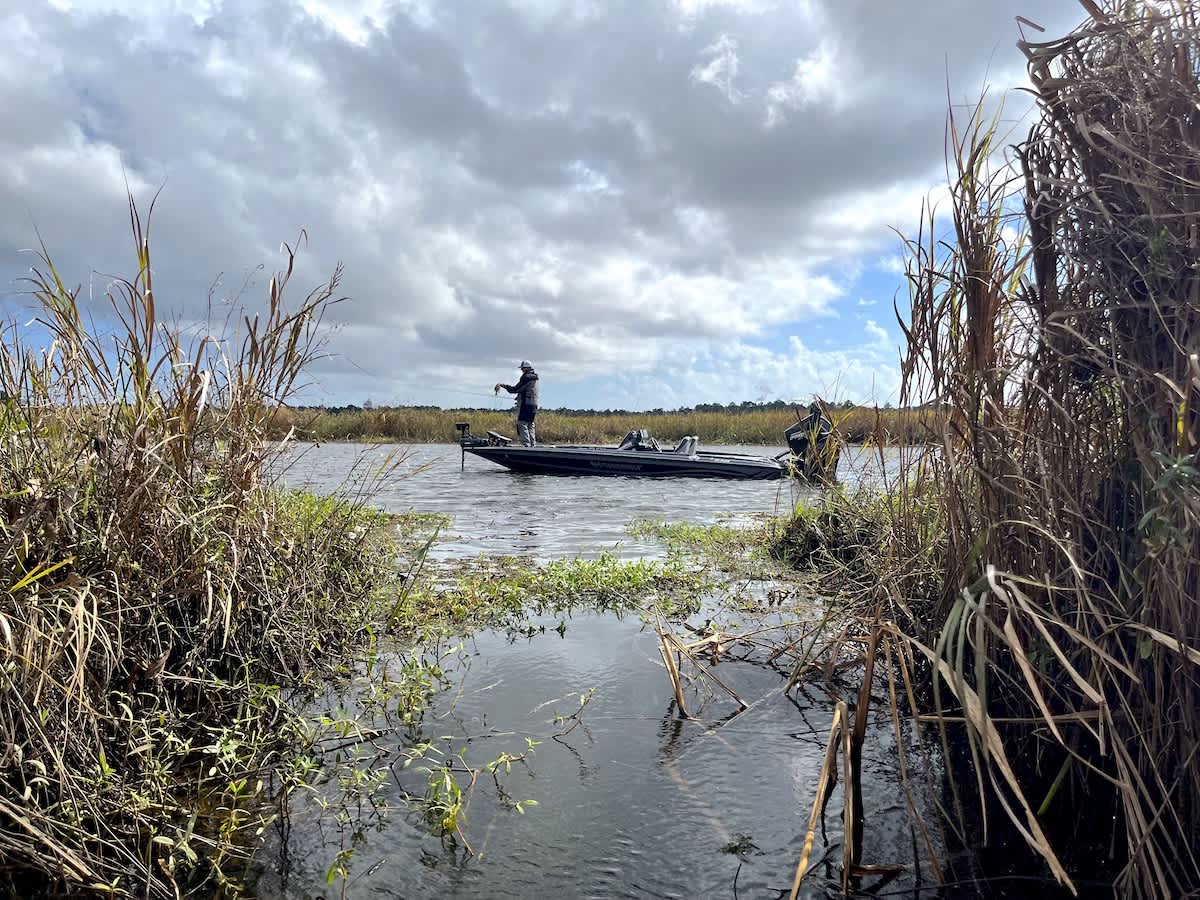 Targeting Sun-soaked Structure for Winter Bass