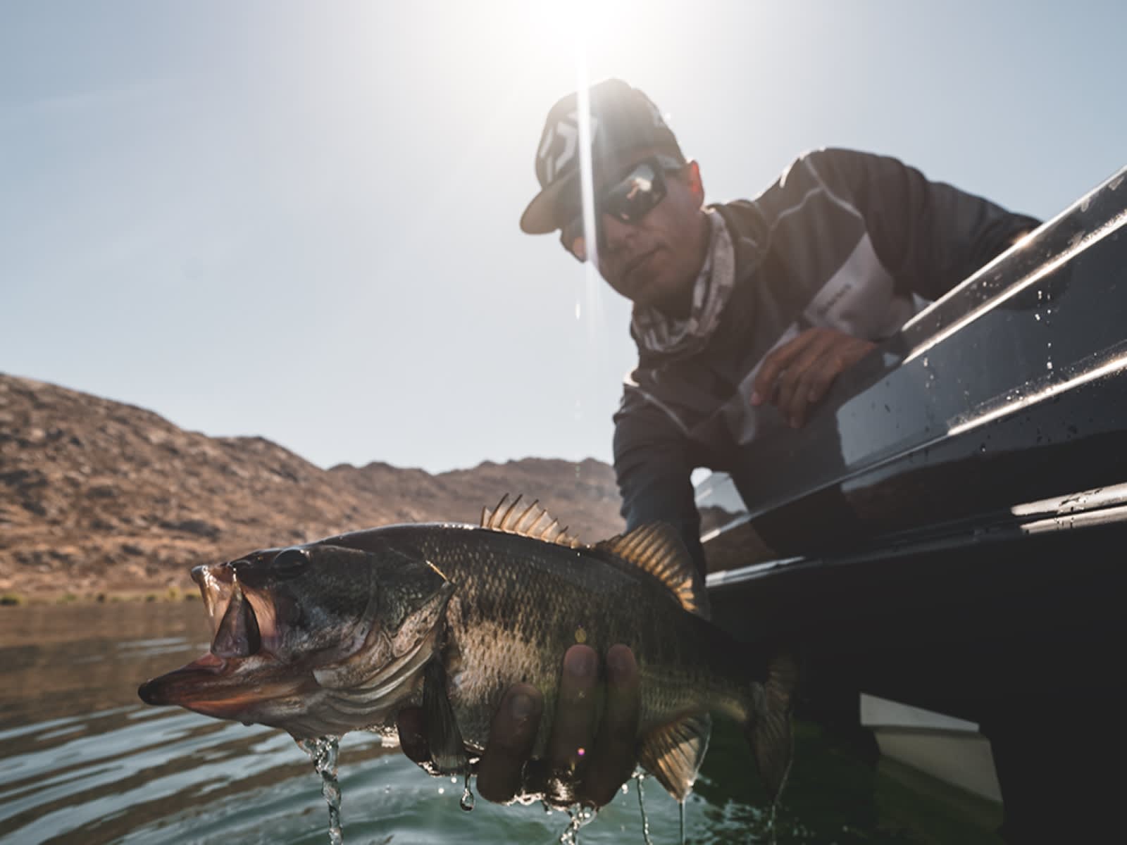 Daiwa’s NEW Elite Travel Rods Now Available – The Ardito Series