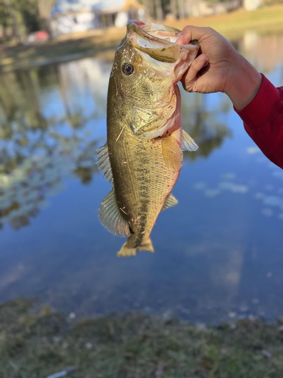 Using Lake Drawdowns to Your Bank Fishing Advantage