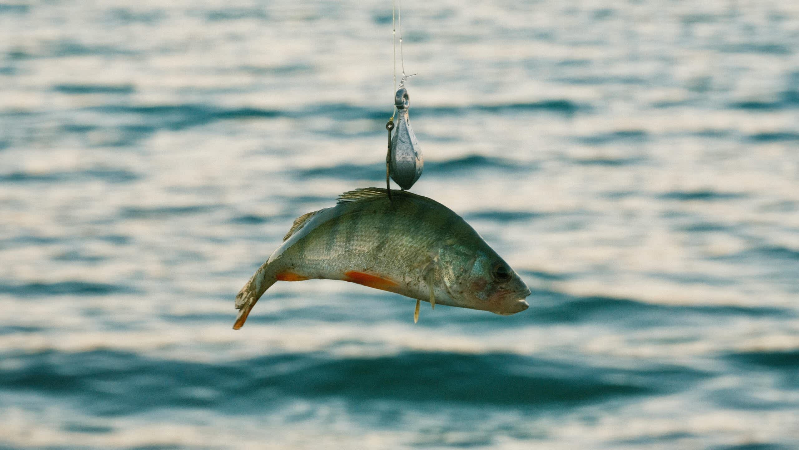 Explore the Best of U.S. Lakes: Recreation, Fishing, and More