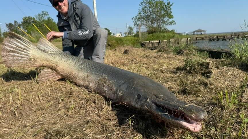 Texas Angler’s 153-Pound Alligator Gar Awaits World Record Confirmation