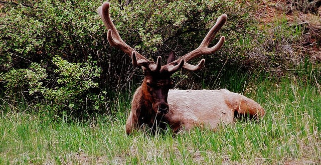 Common Hunting Violations To Avoid This Season OutdoorHub
