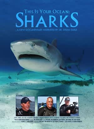 Last Live Showings Of This Is Your Oceans Sharks Documentary Outdoorhub