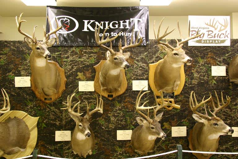 Wanted Owners of West Virginia Big Bucks for Display OutdoorHub