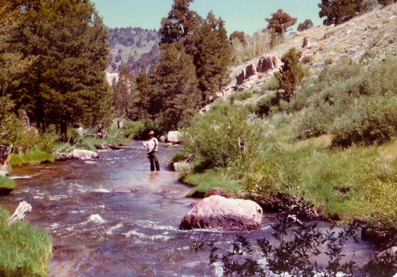 Fishing for Magical Trout from Seasonal Streams | OutdoorHub