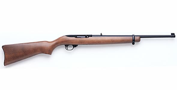 An American Classic, The Ruger 10/22