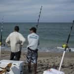 The private beaches of the southeastern Florida coast is where the best shark action occurs.