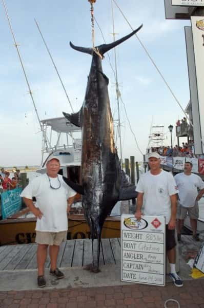 Million dollar Marlin Case Settled after Three Years of Legal Battles