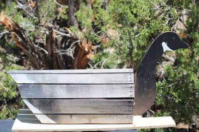 This goose decoy made from an orange crate was typically used in the Sacramento Valley of California in the early 1900s.