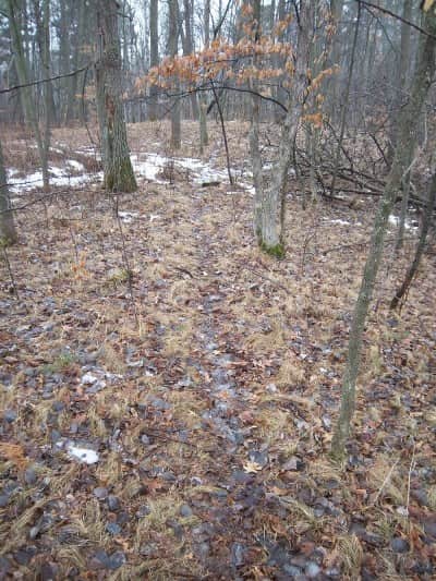 Early spring is a great time to get out and look over a small property, analyzing every inch of it. You can find the beds, the trails, and all kinds of clues about the deer on the property.