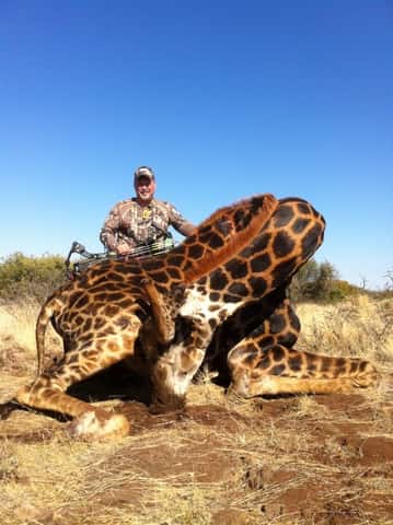 The author with his black giraffe taken at 62 yards with a bow in South Africa.