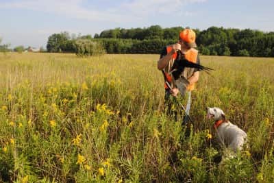 Tim Somerville shows Rub a pheasant.