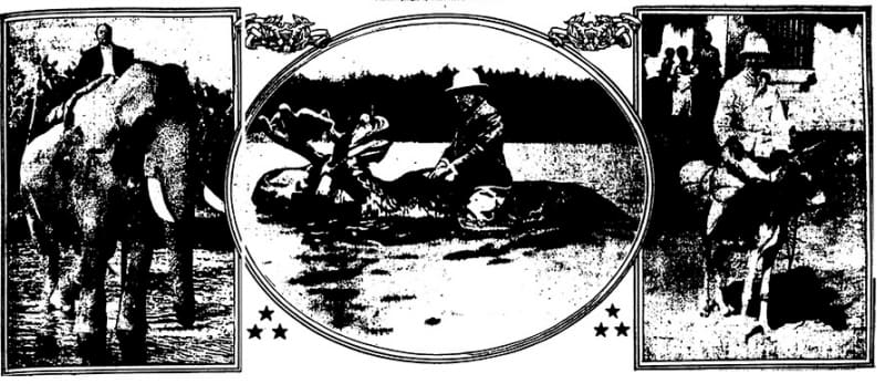 A scan of the original cartoon shows that Roosevelt and his moose takes center stage. Image from the Theodore Roosevelt Collection at Harvard’s Houghton Library.
