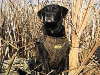 Waterfowlers taking to the ice need to make sure that everyone in their hunting party is kept warm.