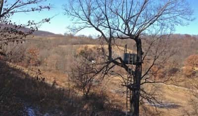 The author’s box blind overlooks a recently-cut cornfield.