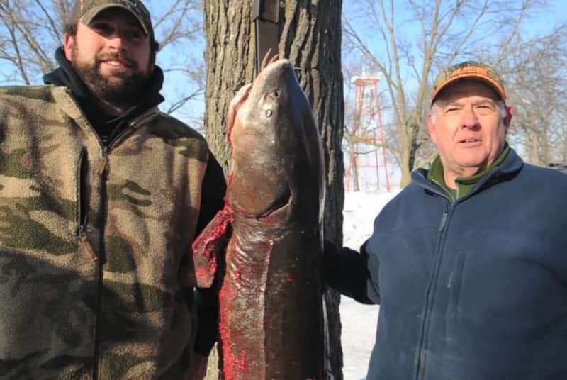 Wisconsin Fishermen Spear Massive Sturgeons OutdoorHub