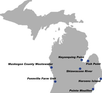 While the Managed Waterfowl Hunt Areas are in the southern part of the state, the entire state of Michigan offers outstanding waterfowl hunting opportunities on public land. Image courtesy Michigan DNR.