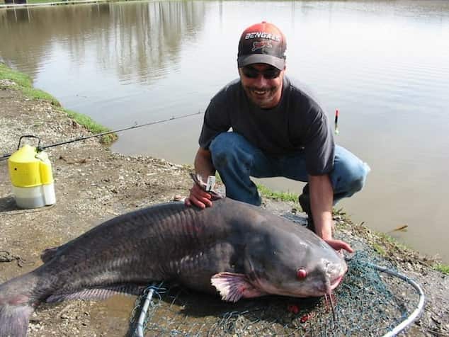 Dan caught this 103-pound catfish in a pond, using the tactics listed. Image by Rick Harvey.