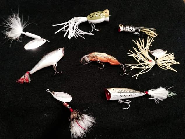 An assortment of topwater baits. Image courtesy Anietra Hamper.