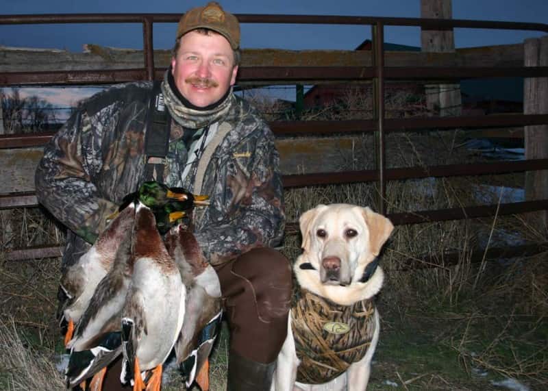 Bill Miller, pictured here with his bird dog Huck, admittedly gets a little Cliff Clavin-like in his obsession for duck identification. Image courtesy Bill Miller.