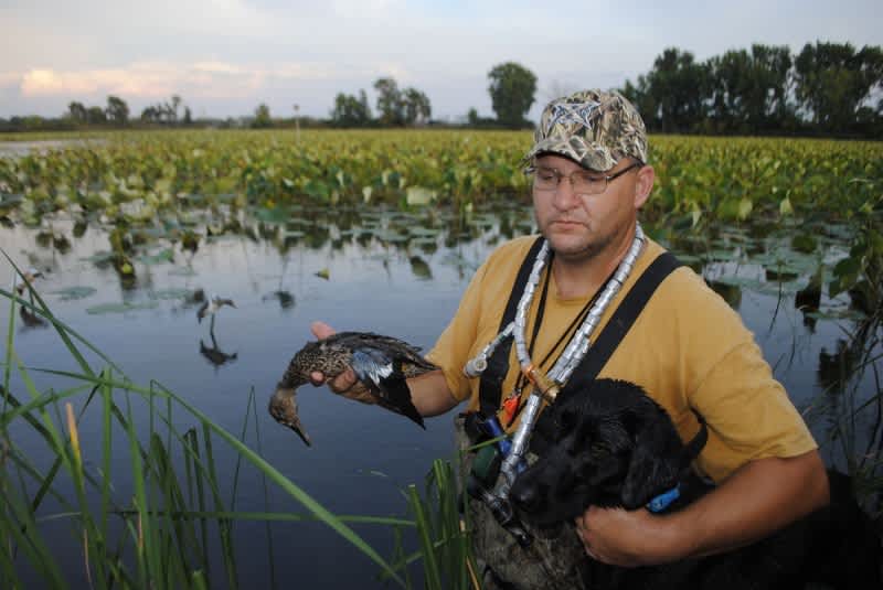 Michigan's First Teal Season in 50 Years a Success OutdoorHub