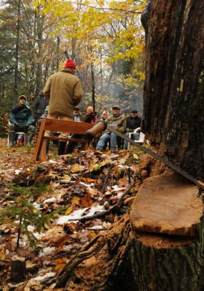 Adrian Wydeven, back to the camera, reads a historical note while the good oak awaits its next team of sawyers.