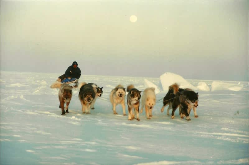 The moon, the fog, and eight tired dogs. Image courtesy Dennis Dunn.