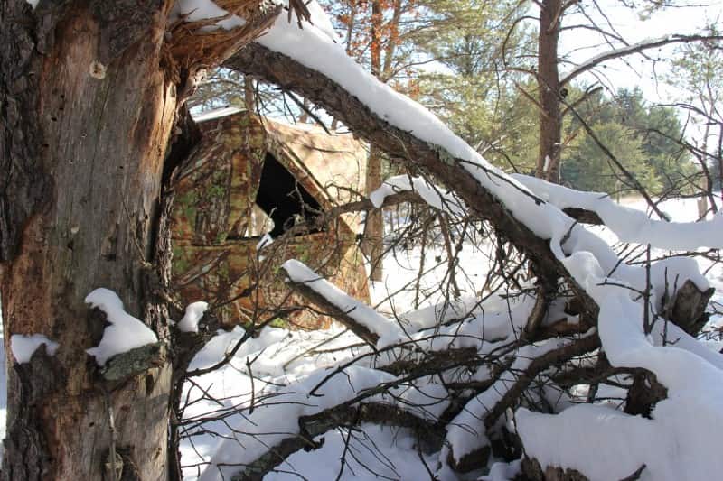 Ground blinds help solve the issue of staying warm and secure, but they must be hidden well or the deer will not tolerate their presence. Image by Bernie Barringer.`