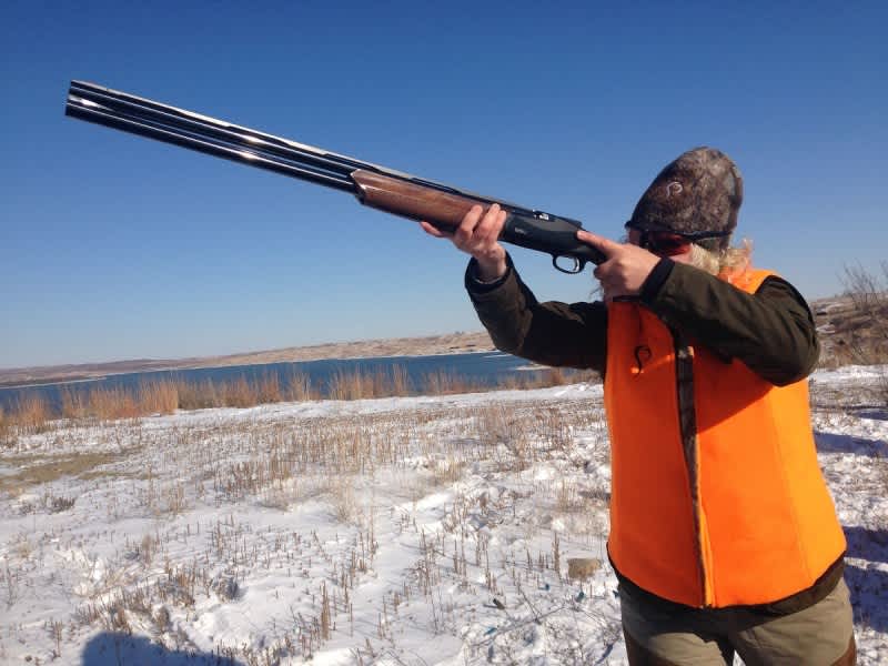 Review Hands on With The New Benelli 828U Shotgun OutdoorHub