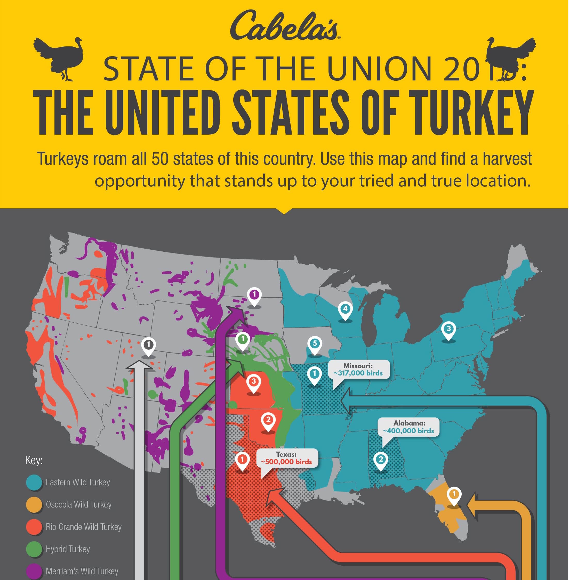 INFOGRAPHIC The United States of Turkey Hunting OutdoorHub