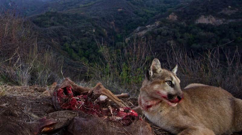 This photo was taken near Malibu Creek State Park.