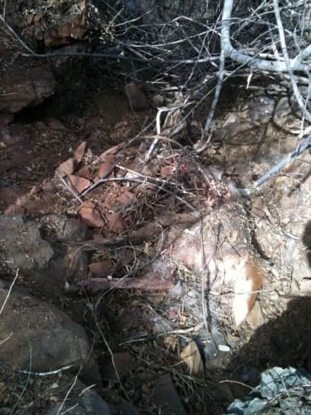 The "burial site." Image courtesy Dennis Dunn.