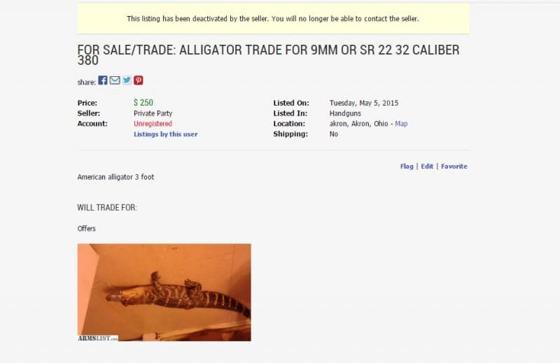 A screenshot of the Armslist.com listing.