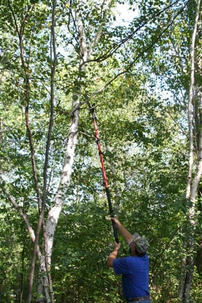 A pole saw is an important tool in cutting shooting lanes. It allows you to cut up high where the branches are often a problem, well above the likely sight and smell range of the deer.