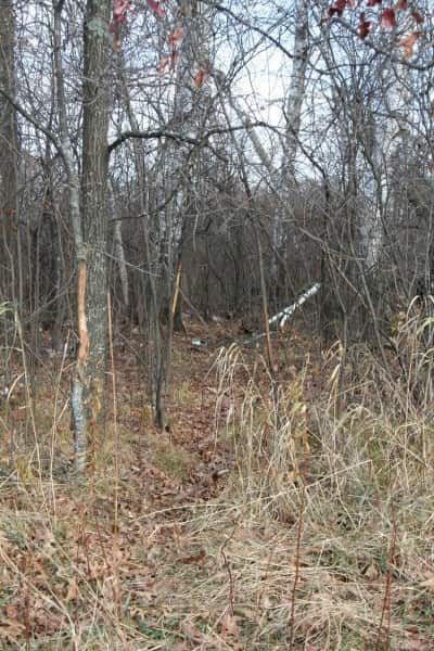 While bucks do tend to rub more when they first rise from their bed in the afternoon, there is little information that can be gathered from the direction the buck was standing when he made the rub.