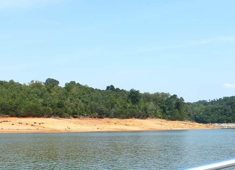 Boone Lake's new shoreline is far from the old shoreline, but the fish are still there.
