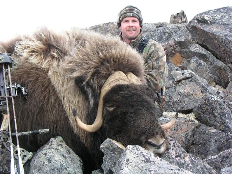 Jeff Podosek's bull.