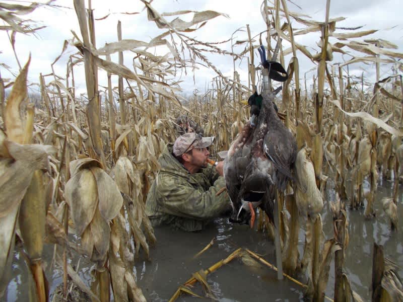 Michigan's 7 Managed Waterfowl Hunt Areas Offer Unparalled