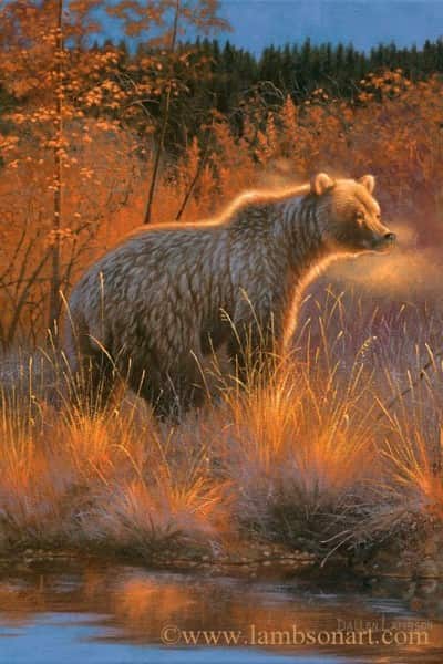 Dunn would continue to meet with "Mister Murphy" on 2002 BC grizzly hunt. Illustration by Dallen Lambson.