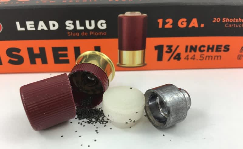 The size of the slug is still nothing to sneeze at.